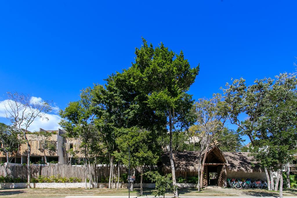 Eco-Chic Design Condos Wrapped In Nature'S Elements By Stella Rentals Tulum Bagian luar foto